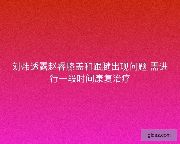 刘炜透露赵睿膝盖和跟腱出现问题 需进行一段时间康复治疗 刘炜透露赵睿膝盖和跟腱出现问题 需进行一段时间康复治疗