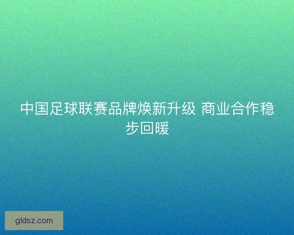 中国足球联赛品牌焕新升级 商业合作稳步回暖 中国足球联赛品牌焕新升级 商业合作稳步回暖